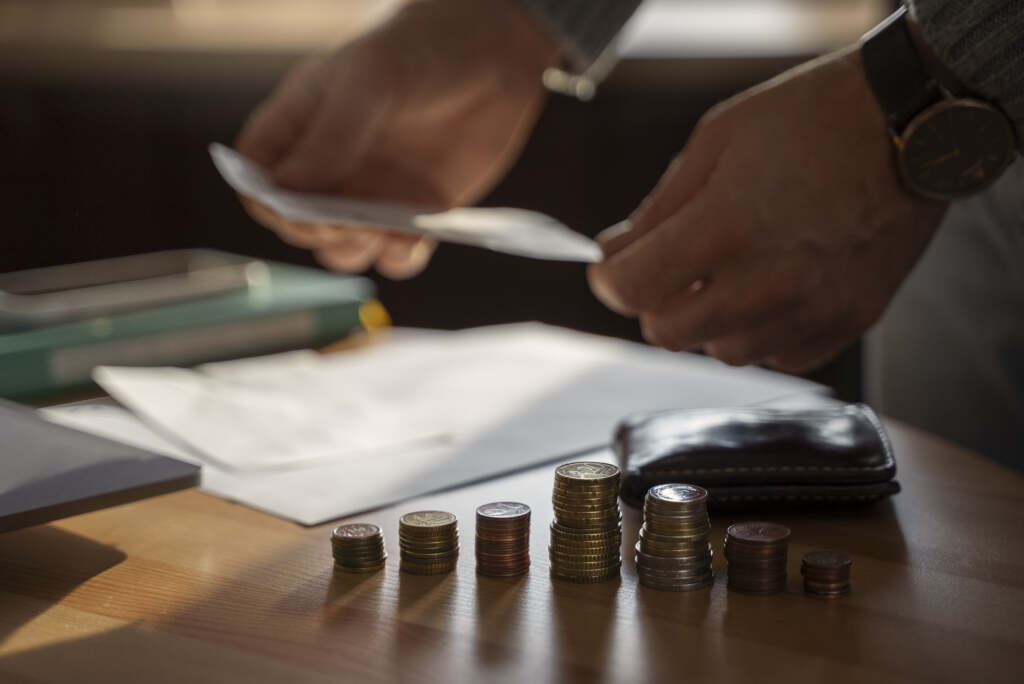 Alimony and Pay Stub Evidence