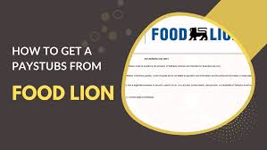 Food Lion pay stubs