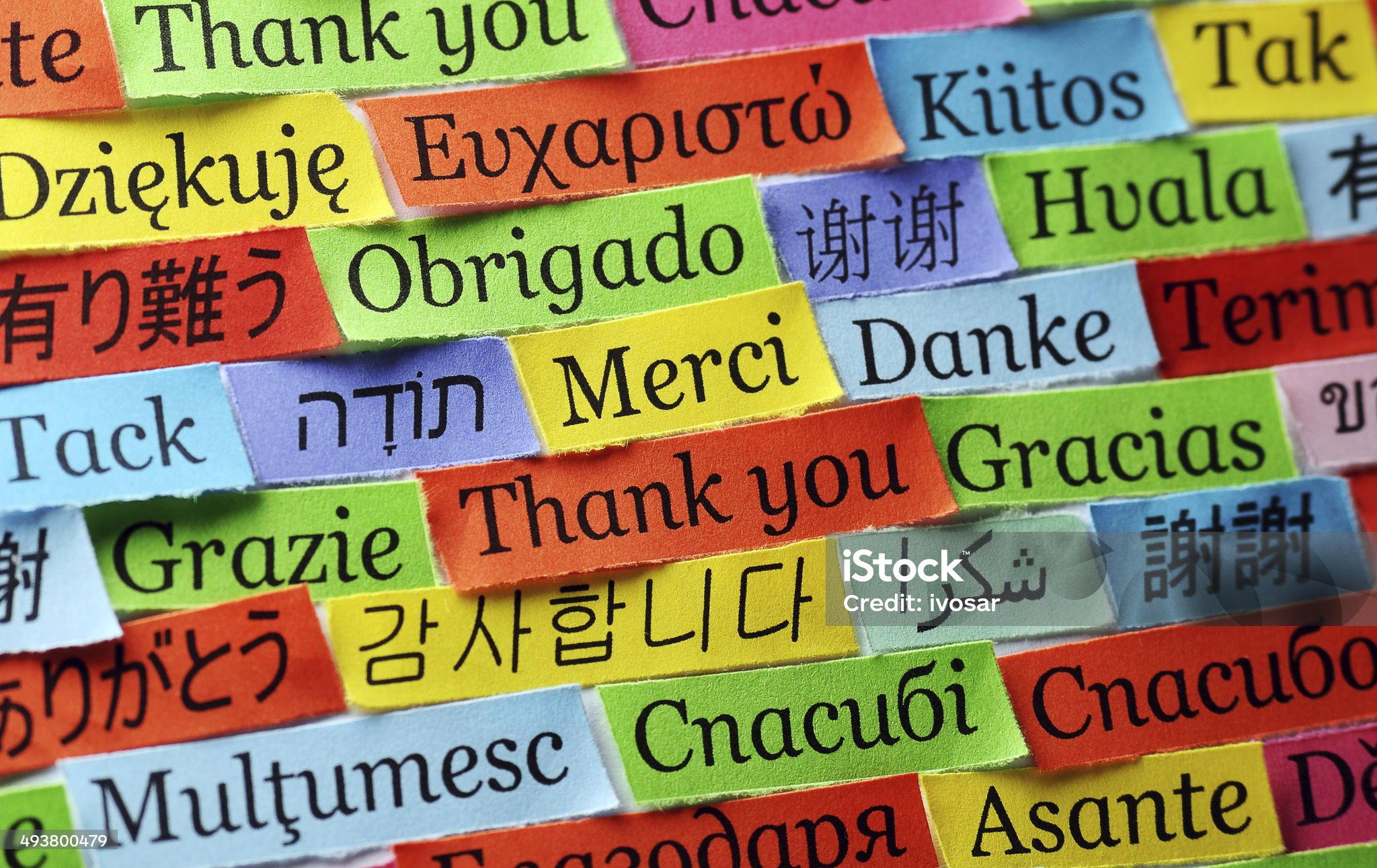 Pay Stubs in Spanish
