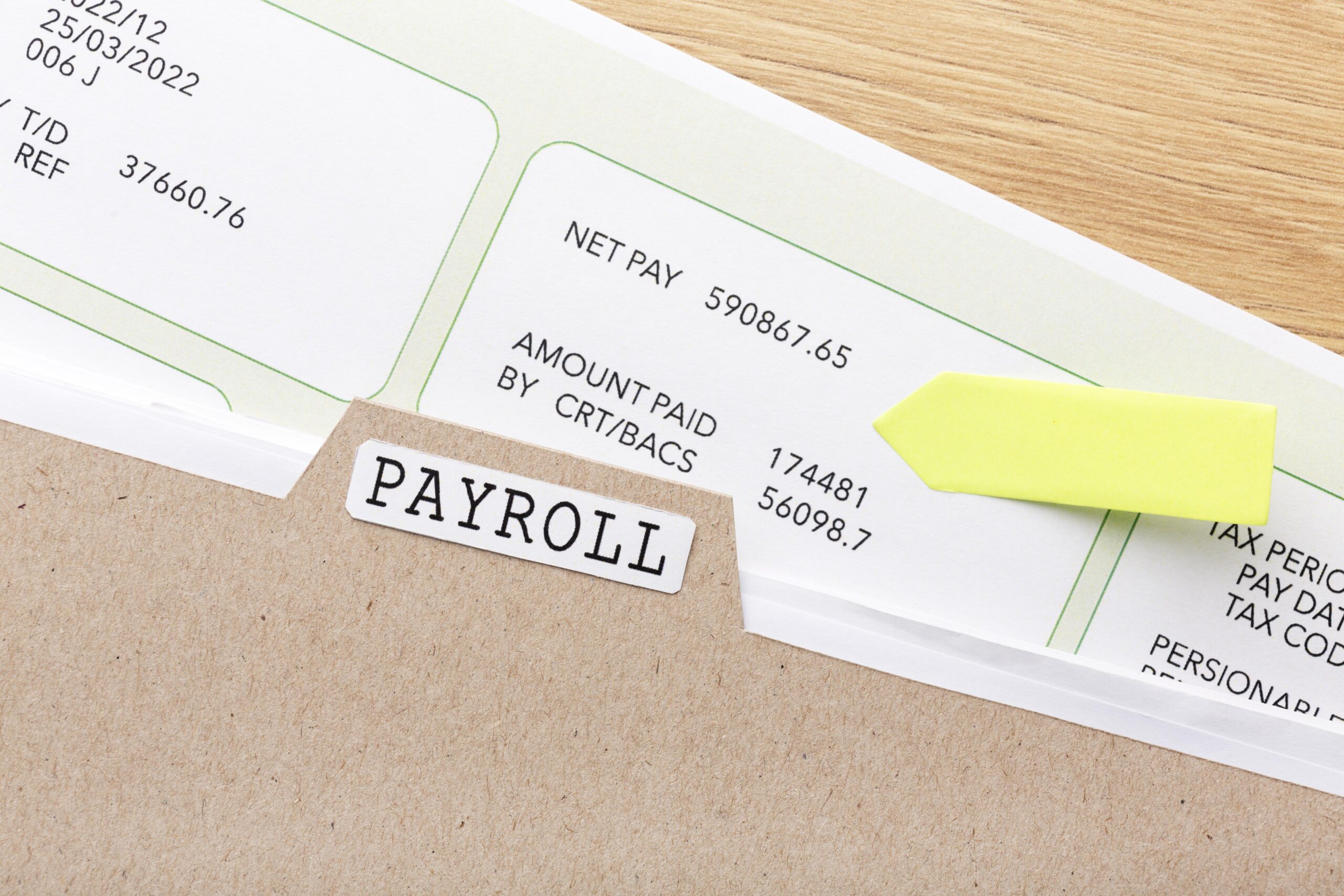 pay stub for dummies