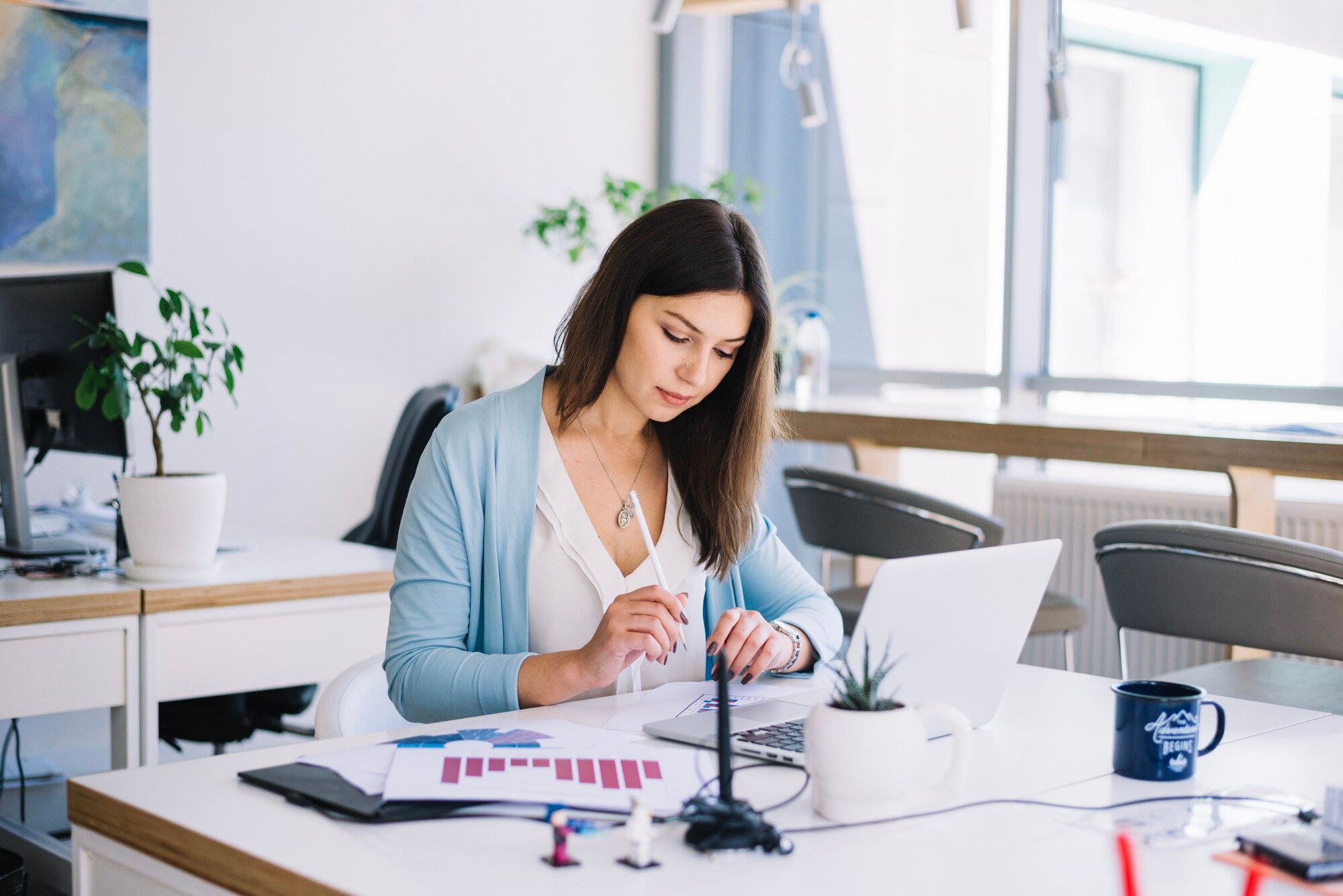 What is a Pay Stub