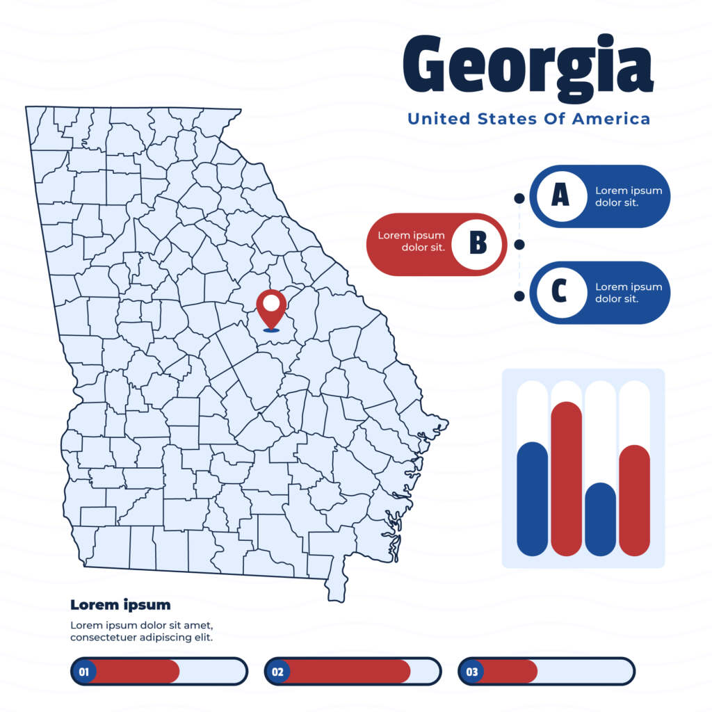Georgia pay stub