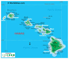 Hawaii Pay Stub