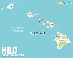 Hilo Pay Stub