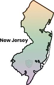 New Jersey Pay Stub