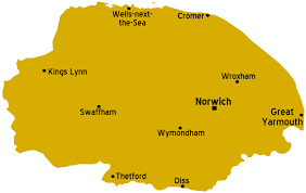 Pay Stub Template for Norfolk