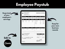Pittsburgh Pennsylvania Pay Stub Template