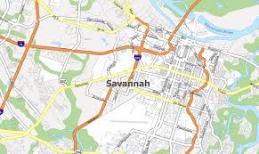 Savannah pay stub