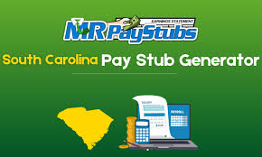 South Carolina Pay Stub
