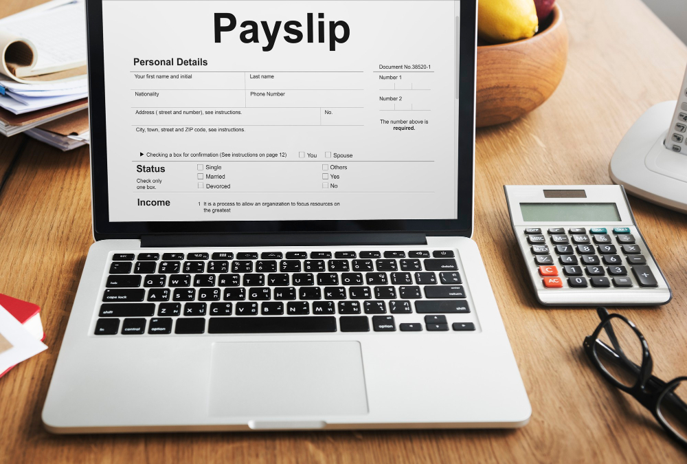 State-Specific Pay Stub Formats