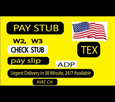 American Airlines Paystub