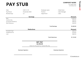 HP Pay Stub