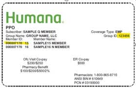 Humana Paystub