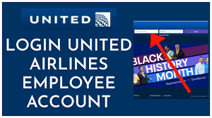United Airlines Paystub